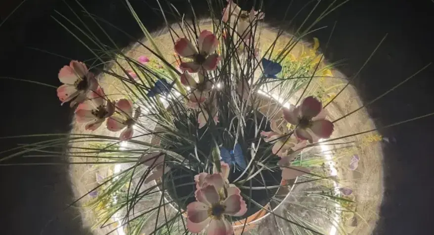 Feature Lighting Project in Walton-on-Thames